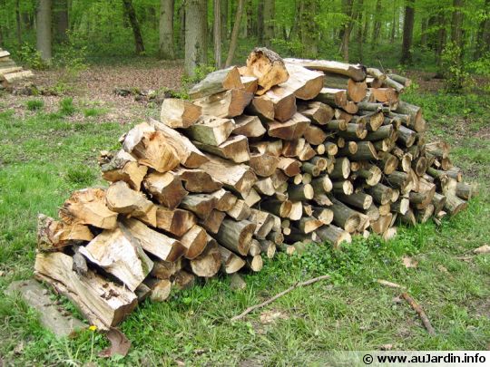 comment trouver du bois a couper