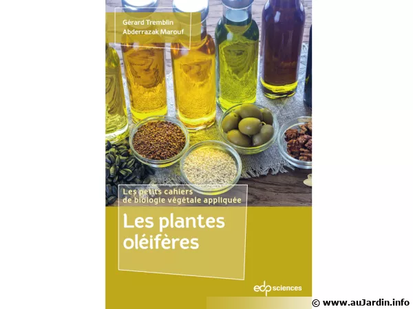 Couverture du livre 'Les plantes oléifères' par Gérard Tremblin et Abderrazak Marouf