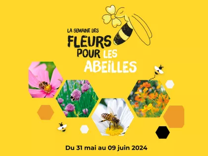 Semaine des Fleurs pour les abeilles - Du 31 mai au 9 juin 2024