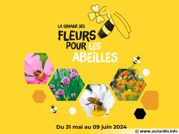 Semaine des Fleurs pour les abeilles - Du 31 mai au 9 juin 2024