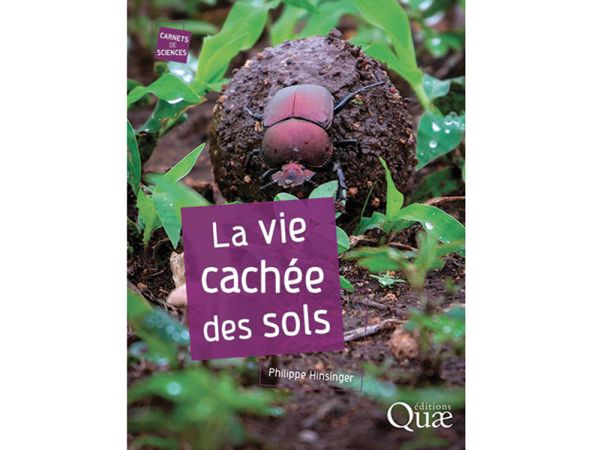 Nouveaut lecture : La vie cache des sols
