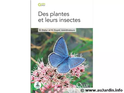 Nouveaut� lecture : Des plantes et leurs insectes