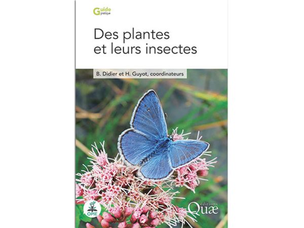 Nouveaut lecture : Des plantes et leurs insectes