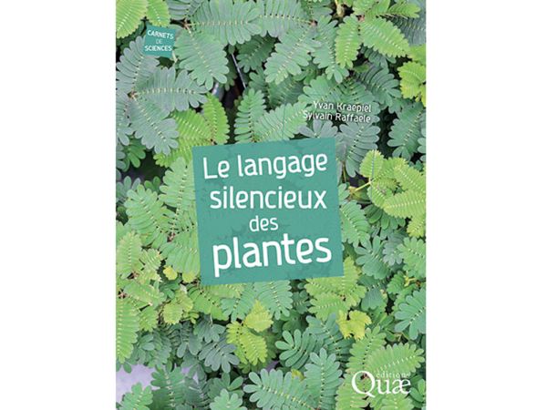 Prix PJ Redout : Le langage silencieux des plantes