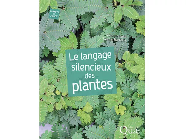 Prix PJ Redouté : Le langage silencieux des plantes