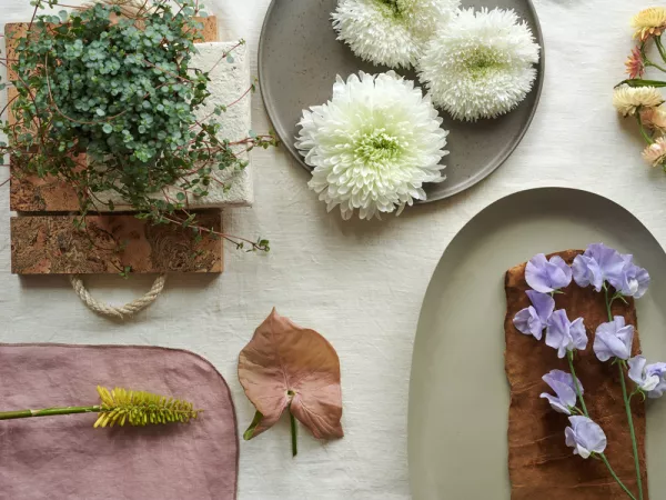 SLOW LIFE, une tendance 2025 pour simplifier et magnifier son quotidien