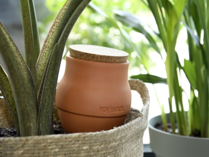 Aquasolo Indoor, la solution pour vos plantes pendant vos absences