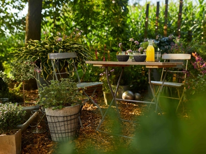 Copeaux de ch�ne LIMIT'HERBES d'Algoflash, un paillage d�coratif