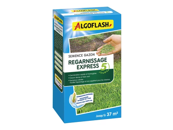 Un gazon rpar en 5 jours avec les semences professionnelles Algoflash