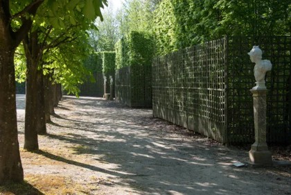 Patrimoine : le Ch�teau de Versailles lance la restauration de la salle des marronniers