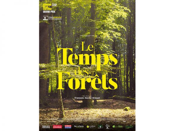 Affiche du film LE TEMPS DES FORÊTS Affiche du film LE TEMPS DES FORÊTS