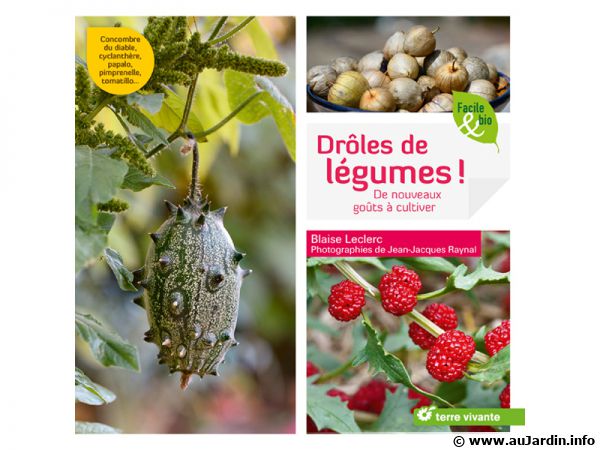 Livre Drôle de légumes, de Blaise LECLERC Livre Drôle de légumes, de Blaise LECLERC
