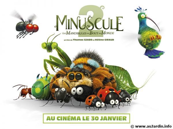 Minuscule 2, les mandibules du bout du monde. L'aventure continue... Minuscule 2, les mandibules du bout du monde. L'aventure continue...