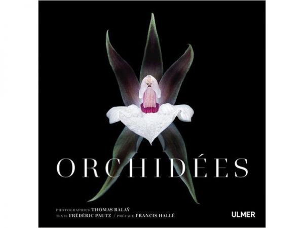 Orchidées par Thomas Balaÿ et Frédéric PAUTZ Orchidées par Thomas Balaÿ et Frédéric PAUTZ