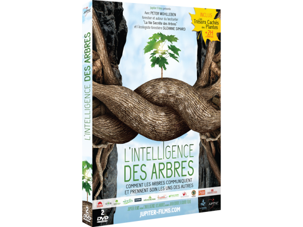 L'Intelligence des Arbres, en DVD L'Intelligence des Arbres, en DVD