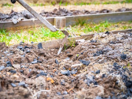 Charbon de bois au jardin : 6 usages surprenants � adopter d�s maintenant