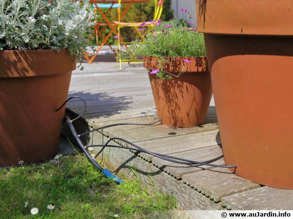 Un système d'arrosage par capillarité, une solution pour arroser vos plantes  pendant vos vacances