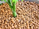 Quels usages pour les billes d'argile?