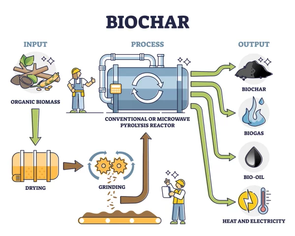 Sch&eacute;ma du processus de fabrication du biochar