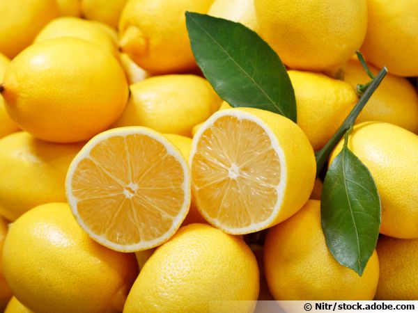 Le citron, de l'énergie en toutes saisons
