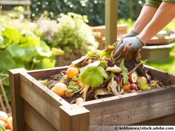 Le compostage pour réduire les déchets et nourrir le sol