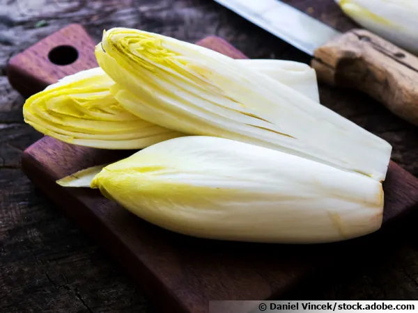 L'endive, un lgume incontournable de l'hiver
