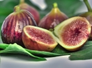Pas de figues sans gupes