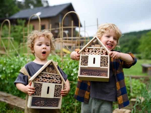 10 gestes pour prserver la biodiversit au jardin