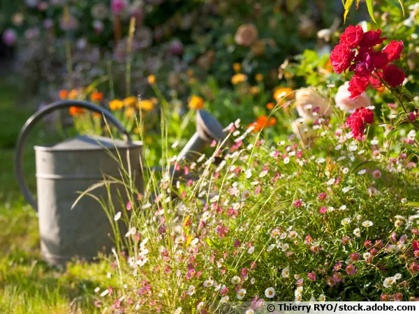 Un jardin économique, sans se ruiner c'est possible !