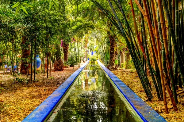 Jardin de Majorelle &agrave; Marrakech