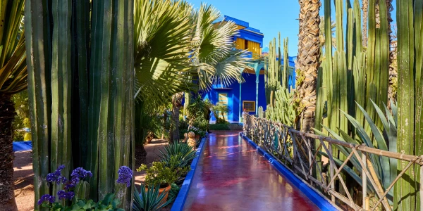 Jardin Majorelle � Marrakech ou v�cu Yves Saint-Laurent