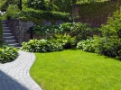 Identifier et utiliser les microclimats au jardin