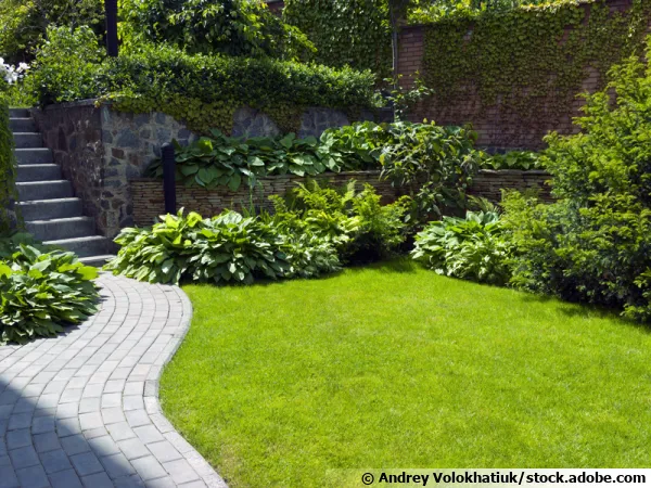 Identifier et utiliser les microclimats au jardin