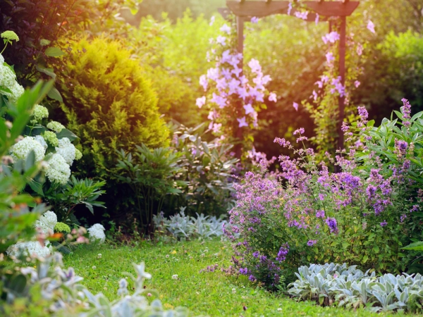 Retrouver un quilibre naturel au jardin
