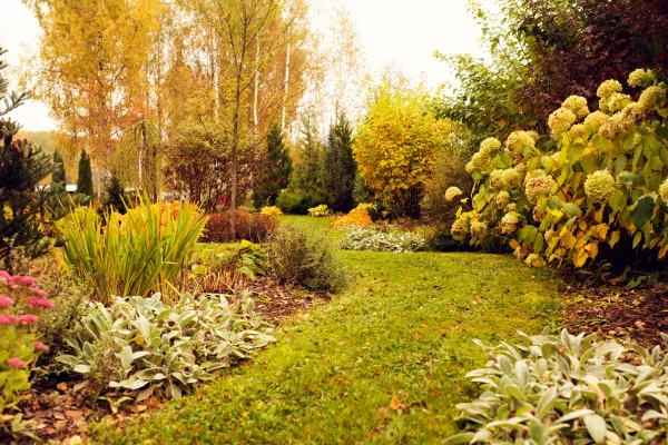 Un jardin d'ornement en automne