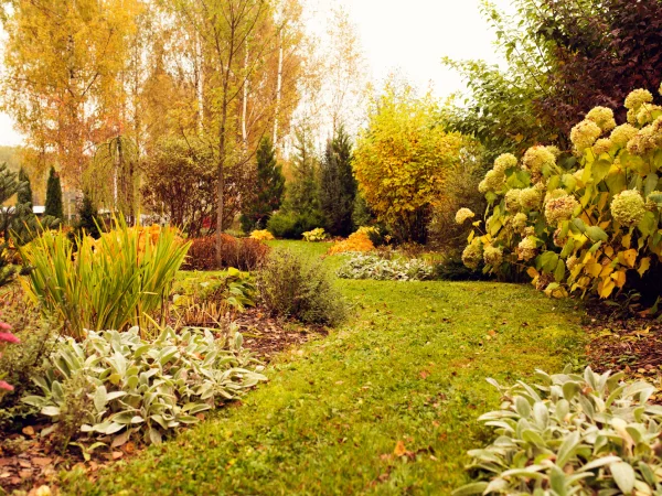Septembre au jardin, l'heure des rcoltes et des confitures