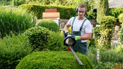 Pourquoi et comment faire appel � un jardinier � domicile ?