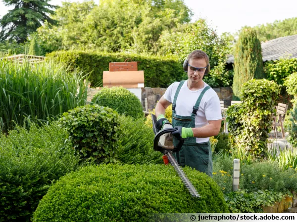 Comment bien choisir son jardinier  domicile?