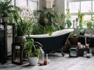 Un jardin d'hiver en appartement