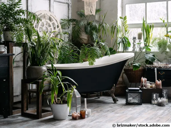 Un jardin d'hiver en appartement