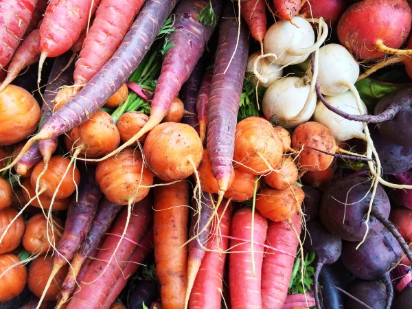 Les couleurs des lgumes-racines
