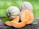 Le melon, le l�gume fruit de l'�t� par excellence