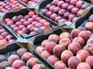 Nectarine, p�che ou brugnon�?