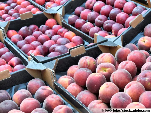 Nectarine, pêche ou brugnon ? Quelle différence ?