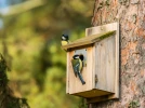 Un logis 5 �toiles pour les oiseaux, entretenez vos nichoirs