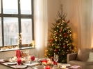 Conserver longtemps son sapin de Nol