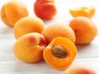 Comment planter un noyau d'abricot ?