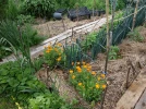Les micros-fermes permacoles, des oasis de vie