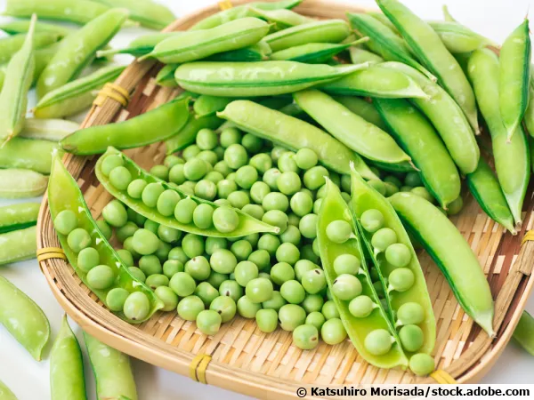 Le petit pois, rassasiant et nergtique