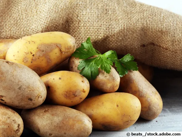 La pomme de terre, un légume disponible toute l'année